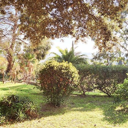 La Suite Costabella A Hyeres-Les-Palmiers Zewnętrze zdjęcie