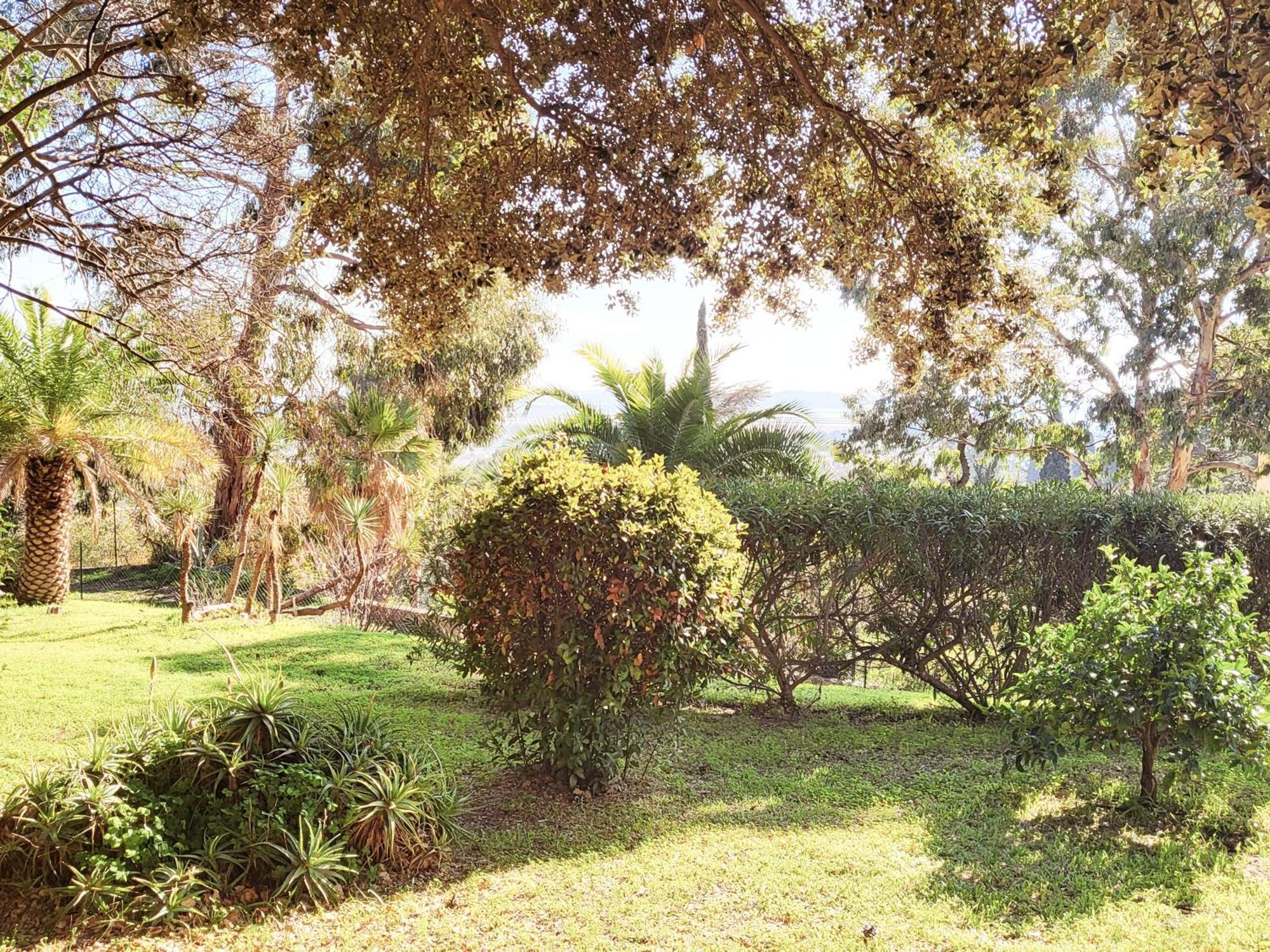 La Suite Costabella A Hyeres-Les-Palmiers Zewnętrze zdjęcie